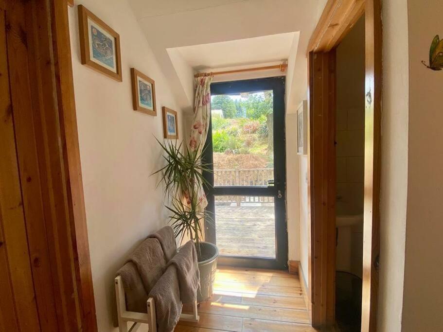 Kingsford Renovated Old Cottage Wexford Extérieur photo
