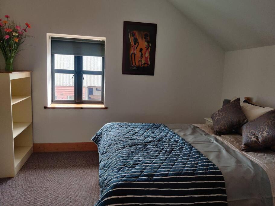 Kingsford Renovated Old Cottage Wexford Extérieur photo