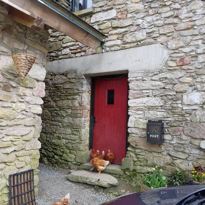 Kingsford Renovated Old Cottage Wexford Extérieur photo